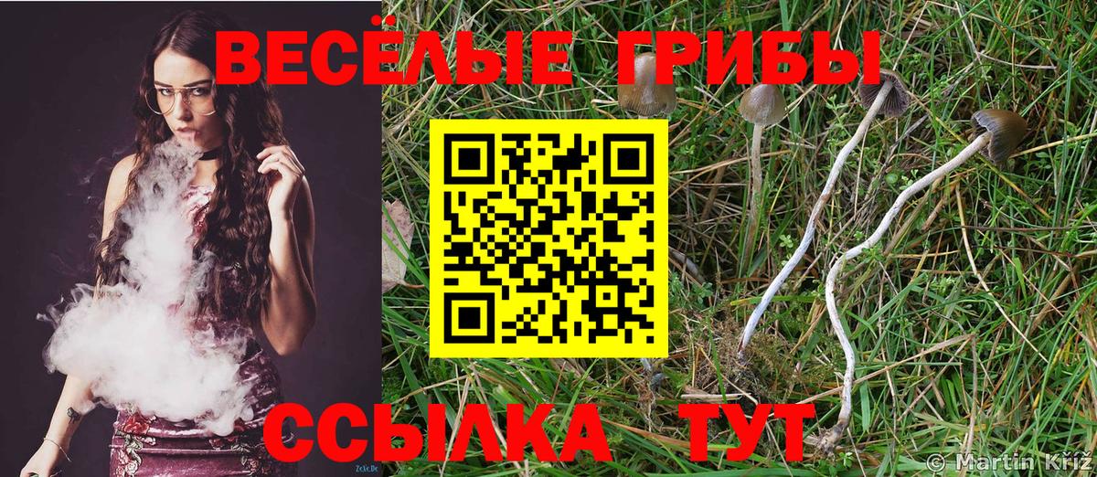 Галлюциногенные грибы Magic Shrooms Вичуга